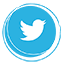 img/social/twitter.png